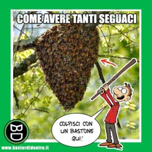 come-avere-tanti-seguaci