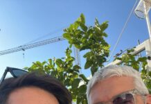 Danneggiamento aggravato e procedibilità dopo la riforma del 2024: la Cassazione chiarisce i confini della querela (Cass. pen., Sez. II, 6–18 marzo 2026, n. 10448)